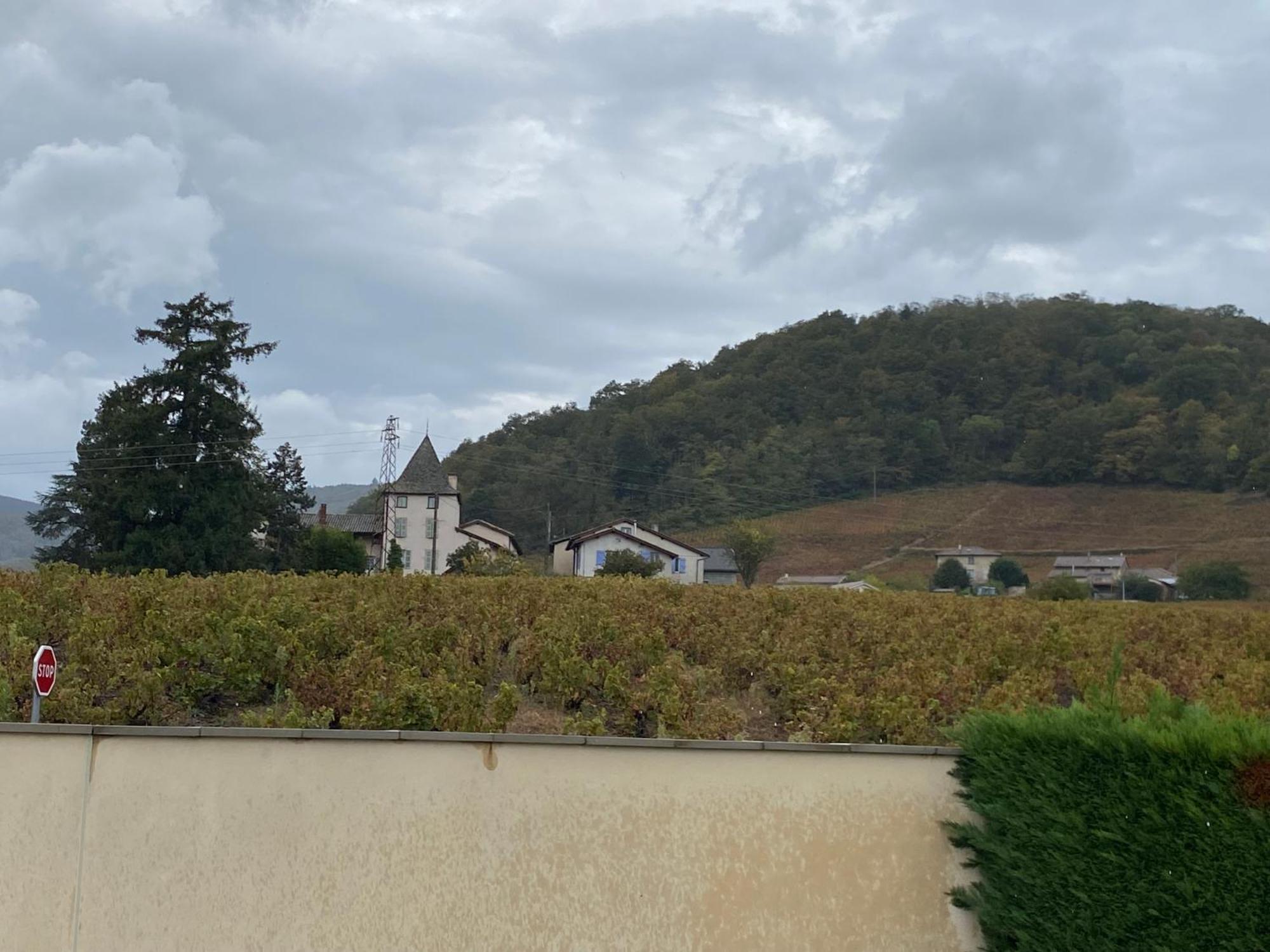Vila Le Bouchon De Liege Beaujeu  Exteriér fotografie